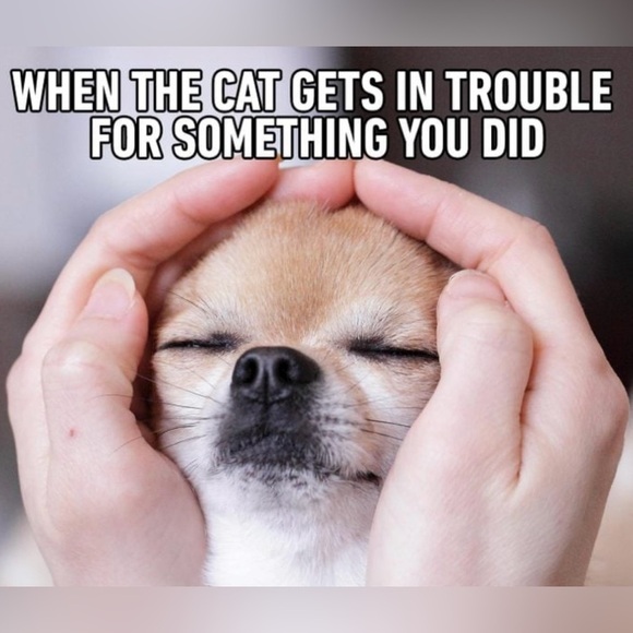 🆕 Free People Gold Intimates Bra - Picture 7 of 11